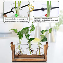 Renmxj Plant Propagation Station, Plant Terrarium with Wooden Stand, Unique Gardening Birthday Gifts for Women Plant Lovers, Home Office Garden Decor Planter - 3 Bulb Glass Vases