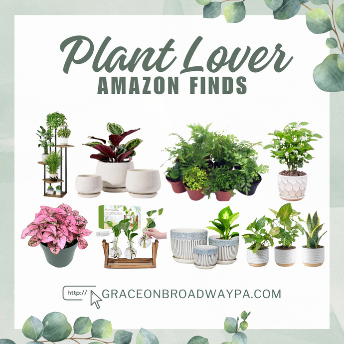 Plant Lover Amazon Finds