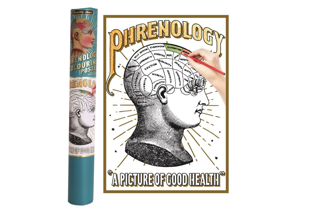 Phrenology Colouring Poster In Gift Tube - Grace on Broadway 