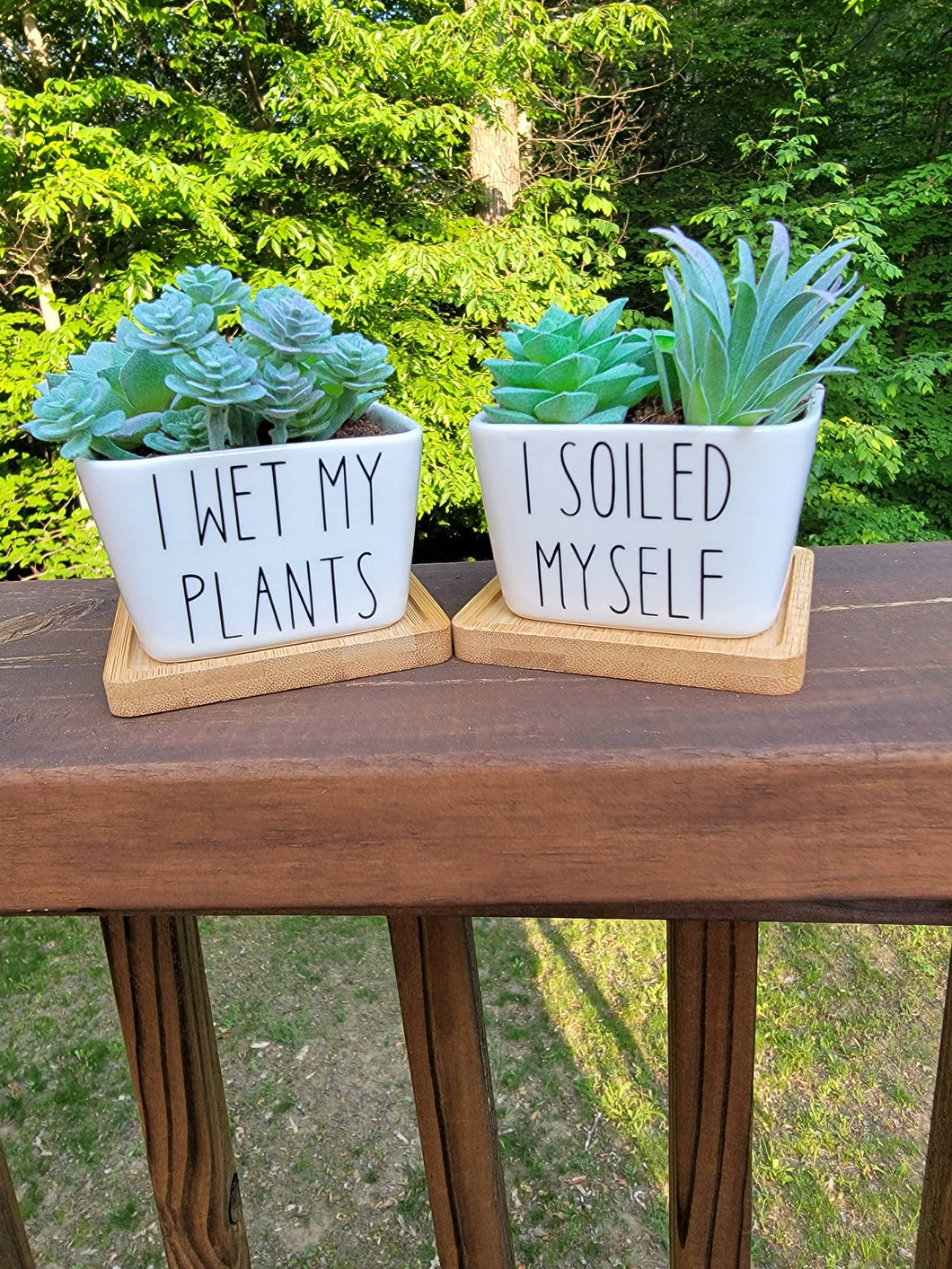 2 Square Succulent Planters I Soiled Myself I Wet My Plants