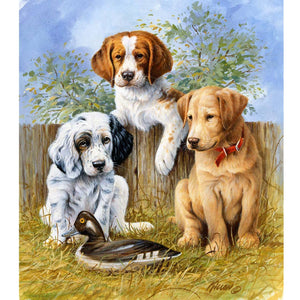 Sporting Trio Pups - DIY Painting By Numbers Kit - Grace on Broadway 