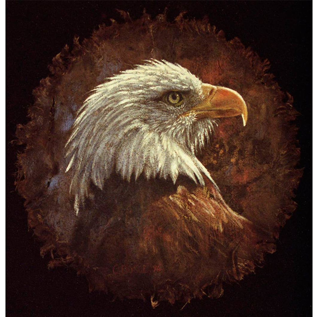 Eagle On Bark - DIY Painting By Numbers Kit - Grace on Broadway 
