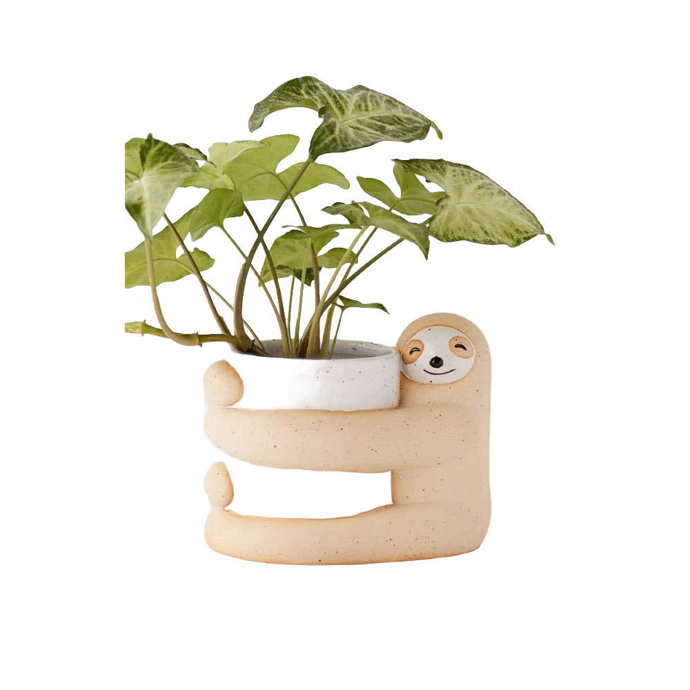 Succulent Planter | Animal Planter | Cacti Pot | Sloth Pot